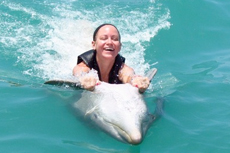 Montego Bay Dolphin Encounter